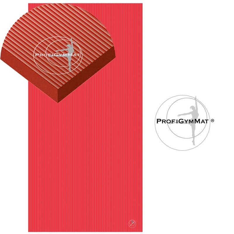 Kilimėliai reabilitacijai RehaMat Professional 200x100x2.5cm - Image 3