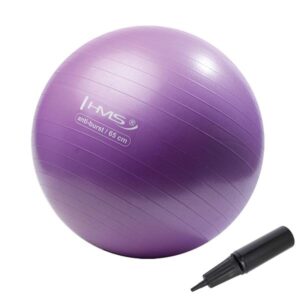 YB02N_65CM_PURPLE_GYM_BALL_HMS.jpg