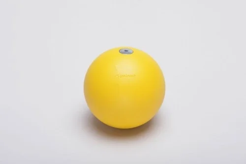 Plieninis stūmimo rutulys varžyboms PK 5-7.26 kg, įvairių diametrų Plieninis stūmimo rutulys varžyboms PK 5-7.26 kg, įvairių diametrų