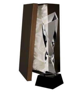glass-trophy-with-presentation-box premium apdovanojimas
