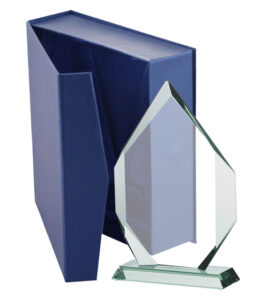 glass-trophy-with-presentation-box stiklinis apdovanojimas