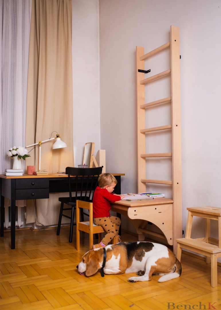 Daugiafunkcinė sportinė sienelė BenchK 112 - Image 5