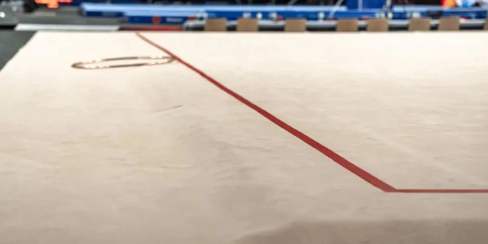 Varžybinis ritminės gimnastikos kilimas SPIETH 14×14 m Varžybinis ritminės gimnastikos kilimas SPIETH 14×14 m