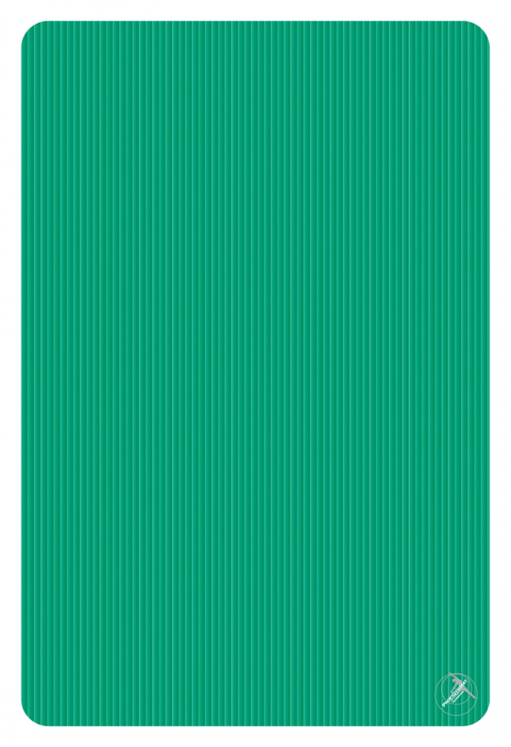 Kilimėliai reabilitacijai Theramat 180x120x1.5 cm - Image 3