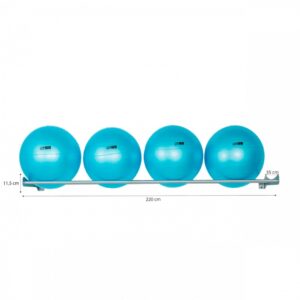 wall-mount-for-200cm-fitness-ball.jpg