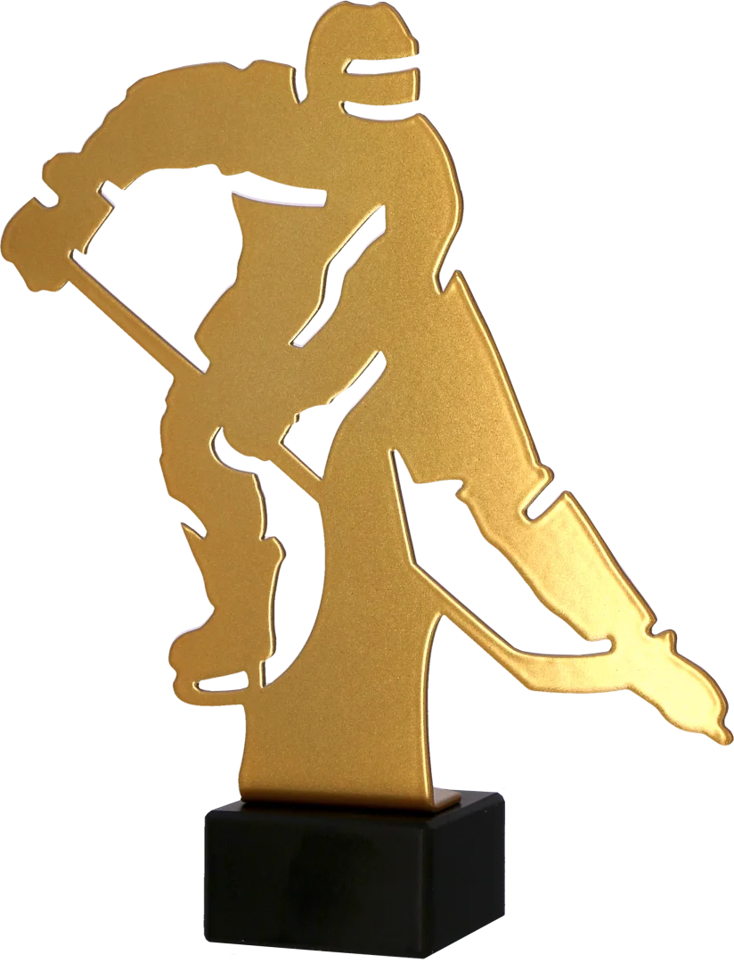 Metalinis apdovanojimas LEDO RITULYS ML-HOC1 Metalinis apdovanojimas LEDO RITULYS ML-HOC1