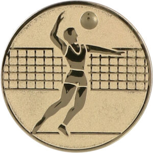 aluminum-emblem-voleyball (1)