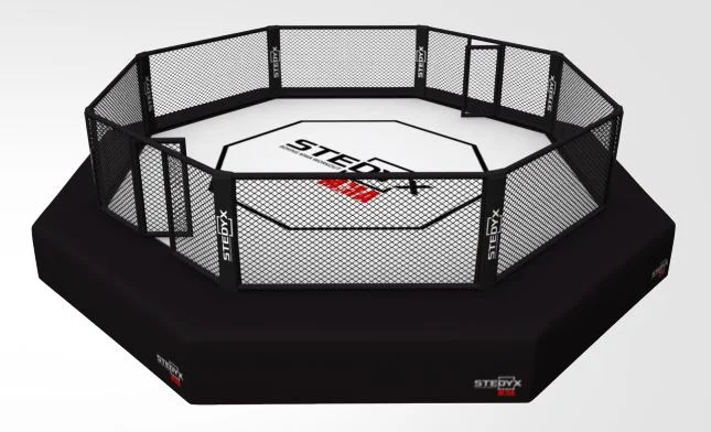 Profesionalus MMA OCTAGON narvas Profesionalus MMA OCTAGON narvas