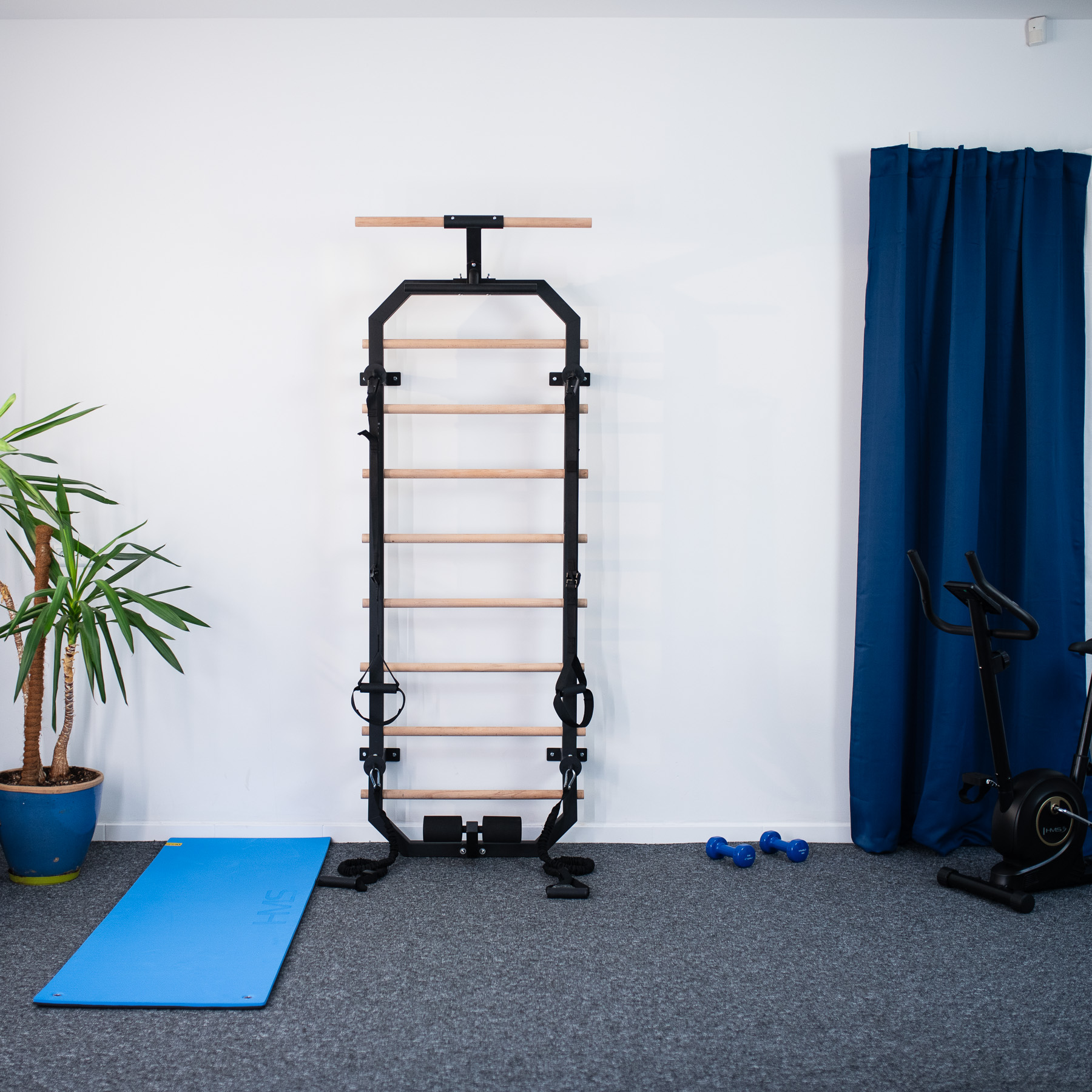 Multifunkcinė gimnastikos sienelė DW2708, 223x80 cm - Image 2