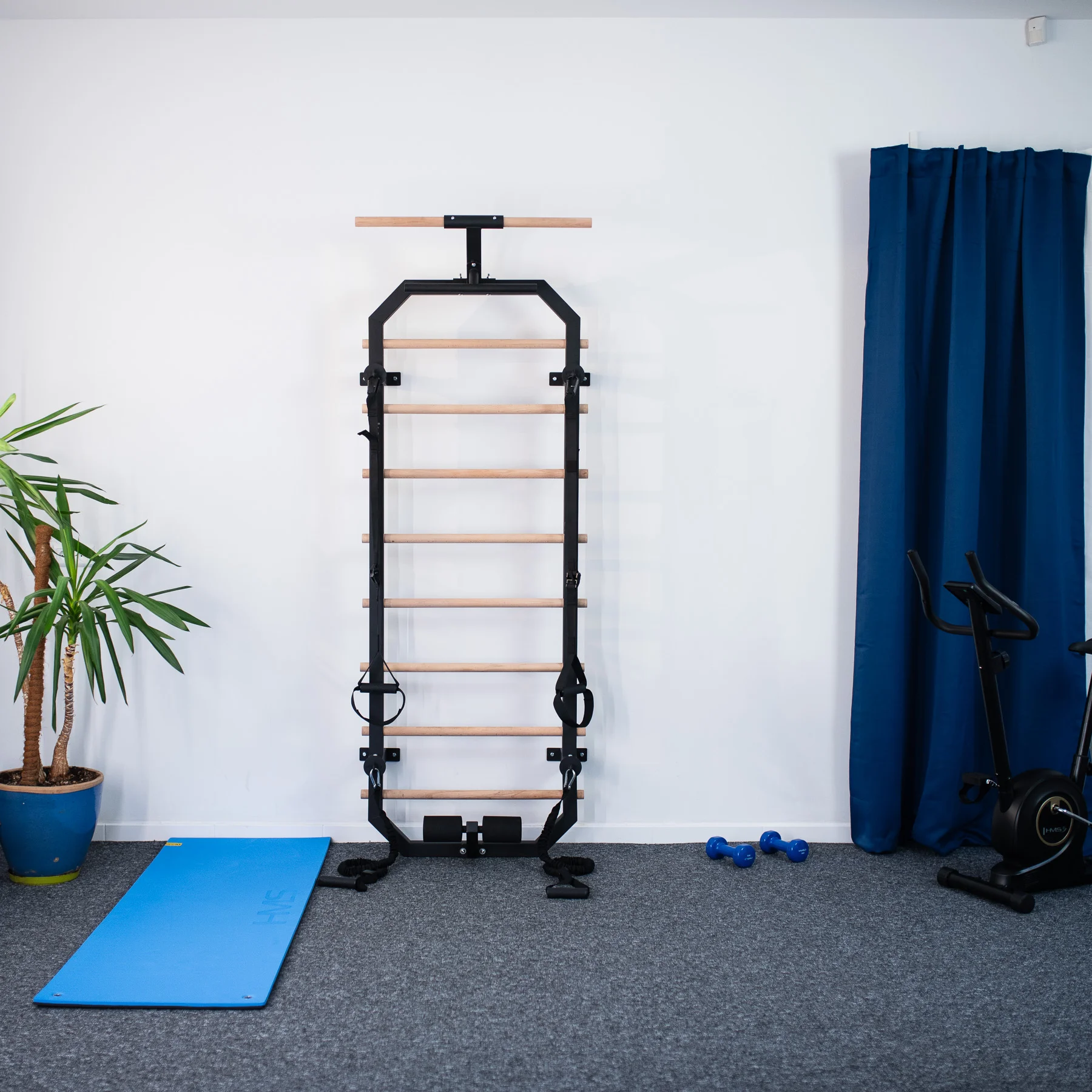 Multifunkcinė gimnastikos sienelė DW2708, 223×80 cm Multifunkcinė gimnastikos sienelė DW2708, 223×80 cm