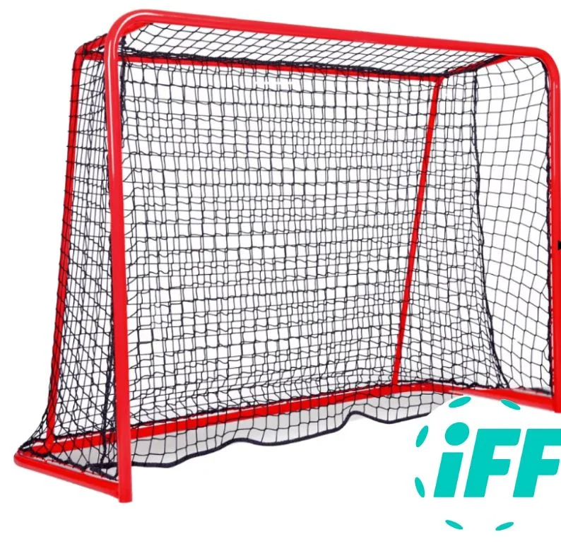 Grindų riedulio vartai su tinklu IFF Grindų riedulio vartai su tinklu IFF